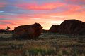 DSC_0001AM (27)